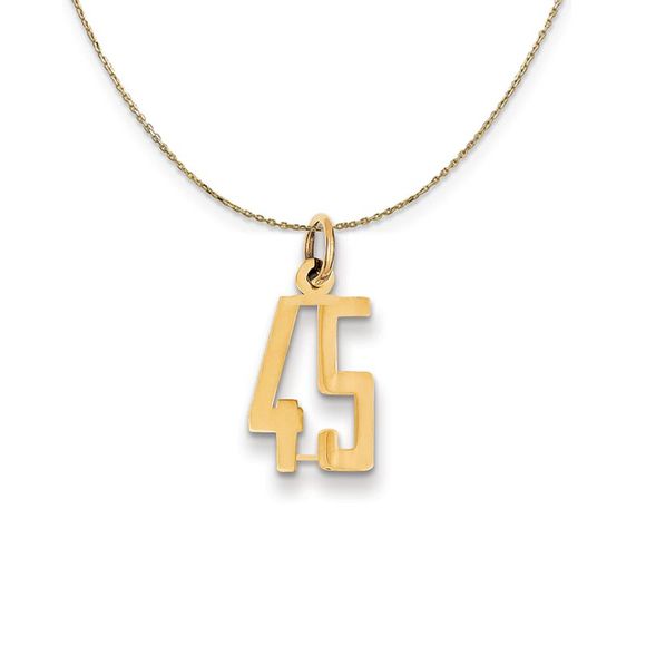 14k Yellow Gold, Alumni Small Elongated Number 45 Necklace...
